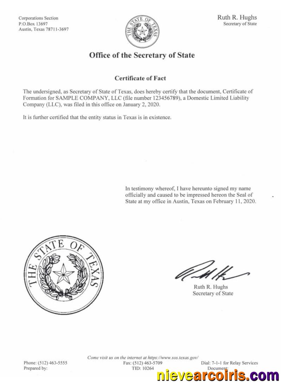 USA Texas certificate of good standing